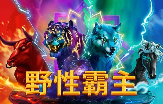 中欧体育官网入口app